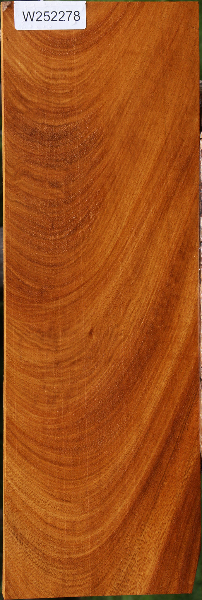 Extra Fancy Cerejeira Lumber