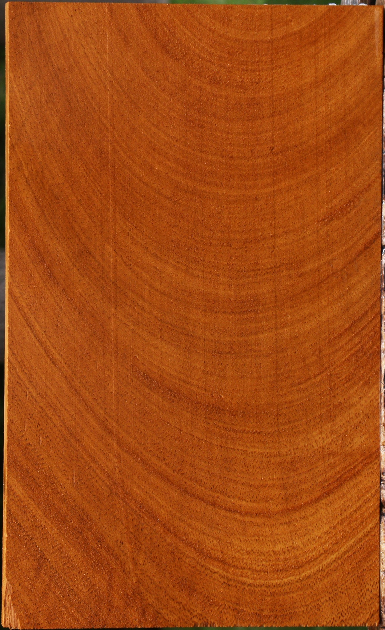Figured Cerejeira Lumber