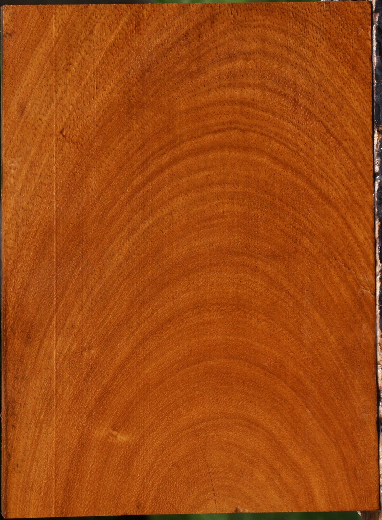 Figured Cerejeira Lumber