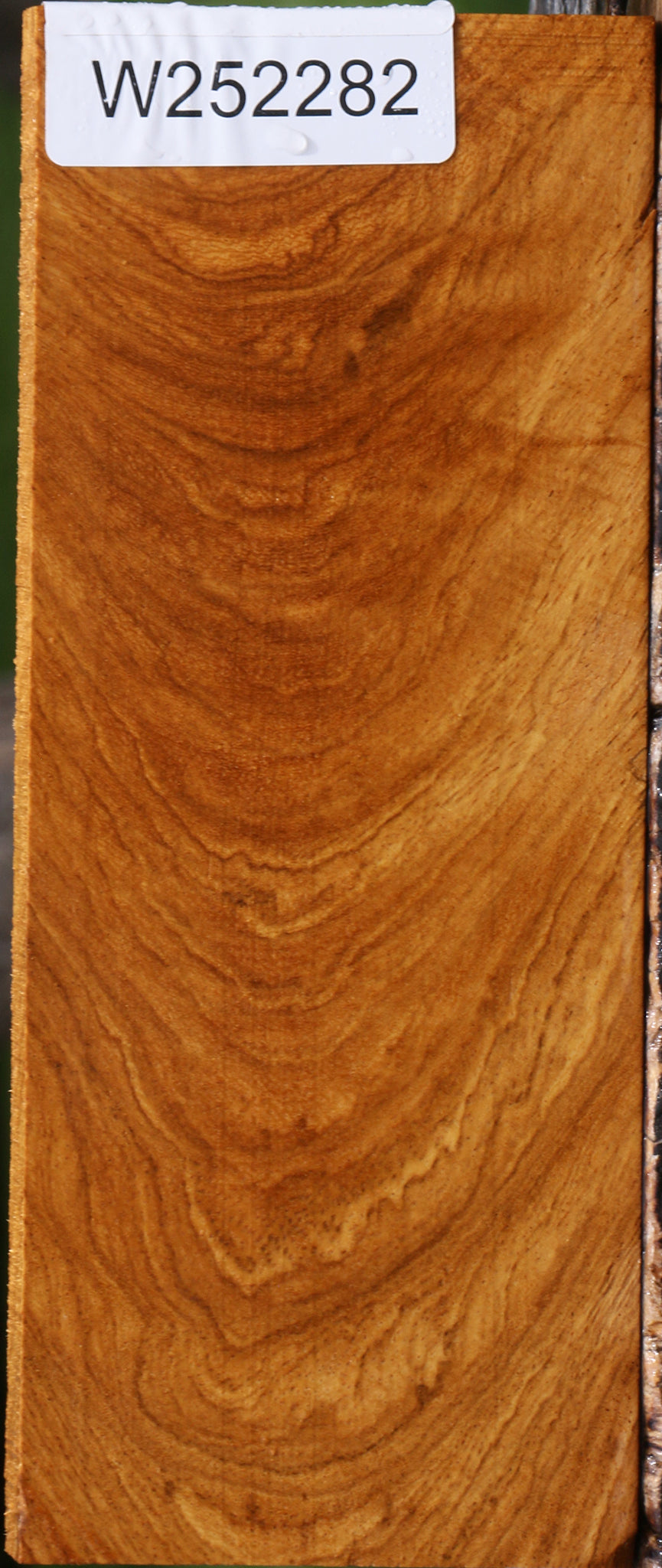 Extra Fancy Cerejeira Lumber