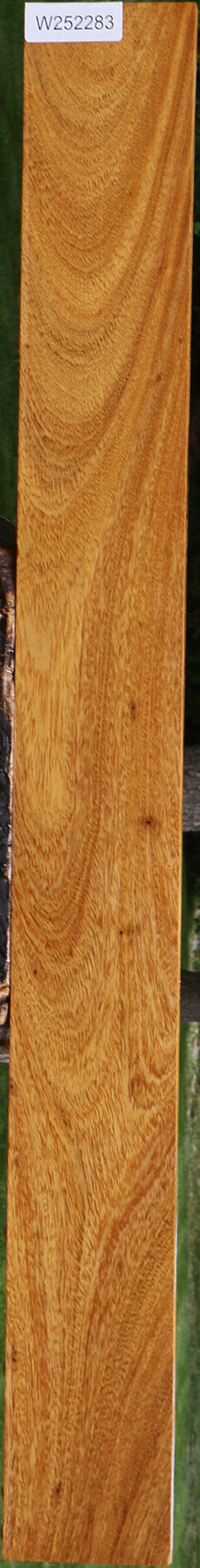 Cerejeira Micro Lumber