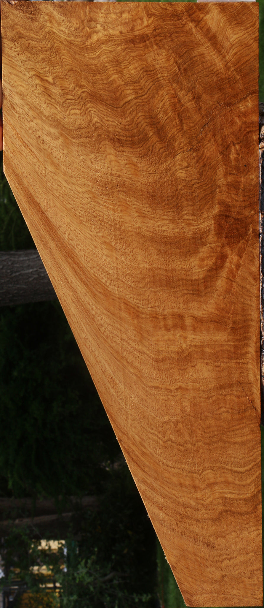 Extra Fancy Crotchwood Cerejeira Instrument Micro Lumber