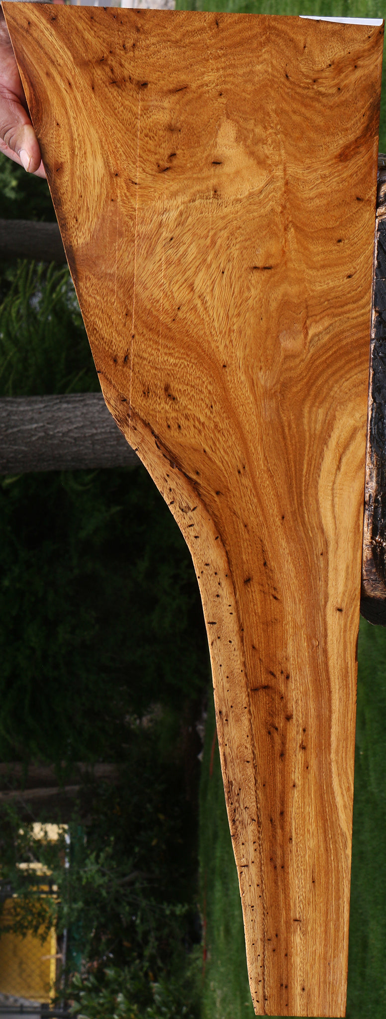 Rustic Cerejeira Live Edge Micro Lumber