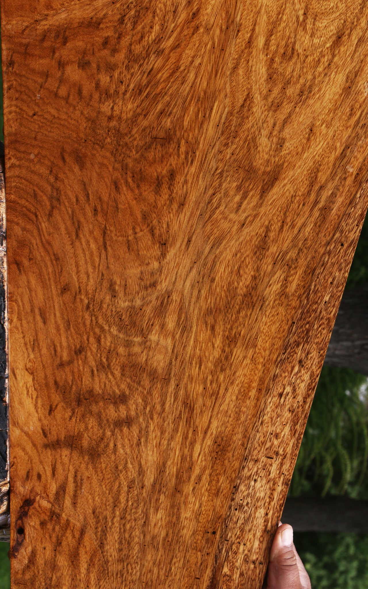 Figured Cerejeira Micro Lumber