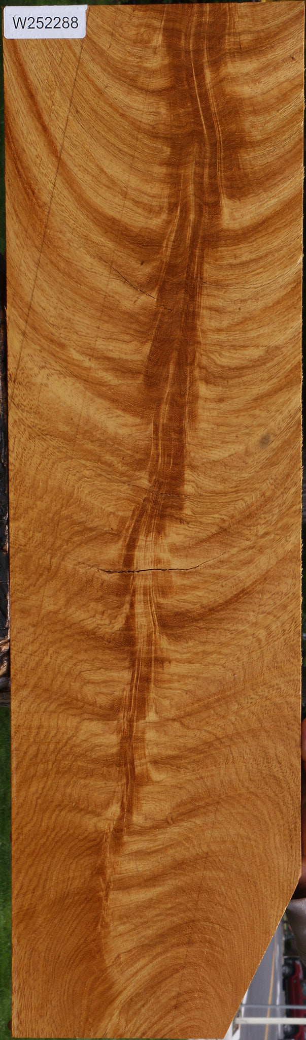 Exhibition Rustic Crotchwood Cerejeira Lumber