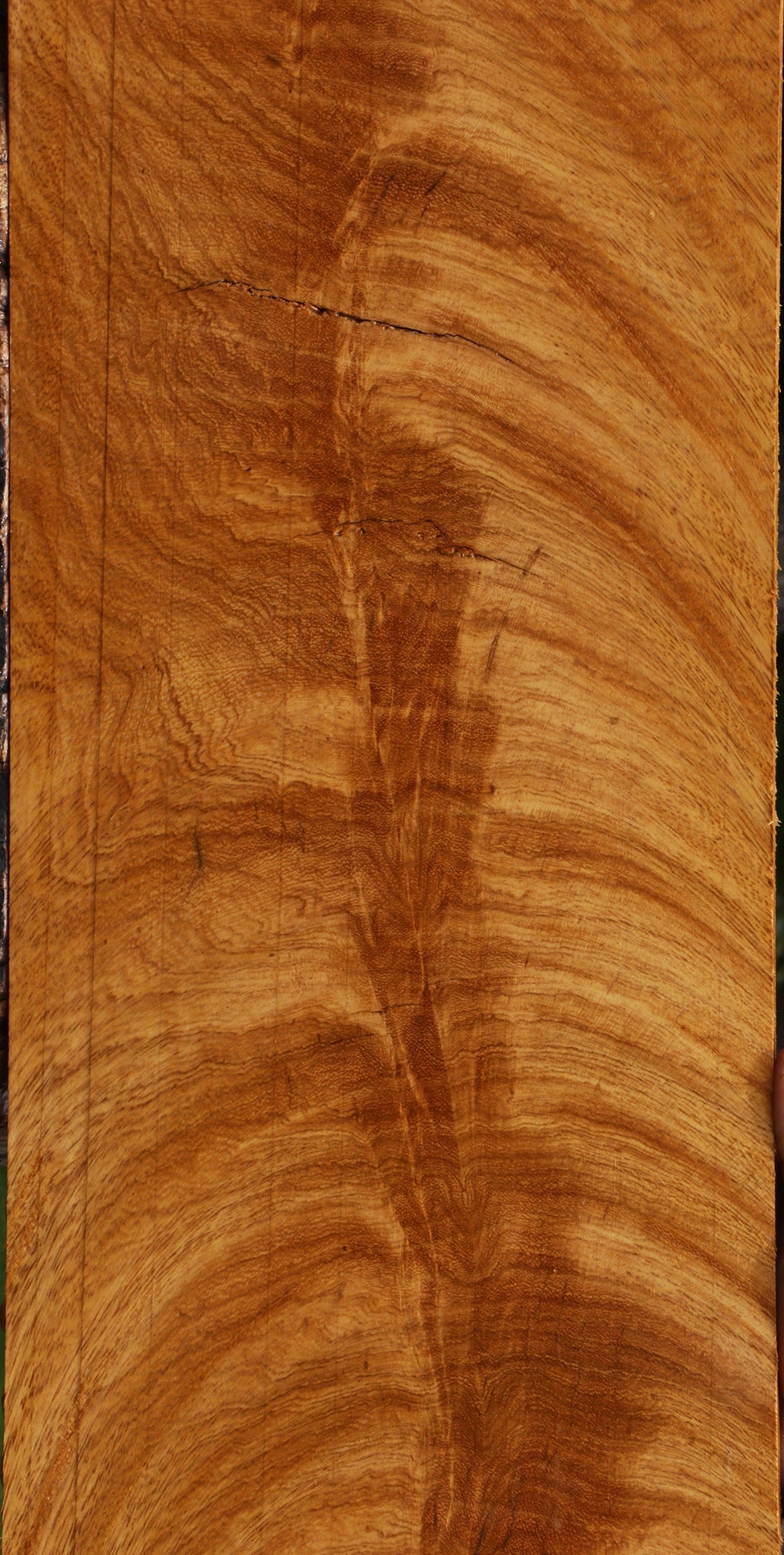 Exhibition Rustic Crotchwood Cerejeira Lumber