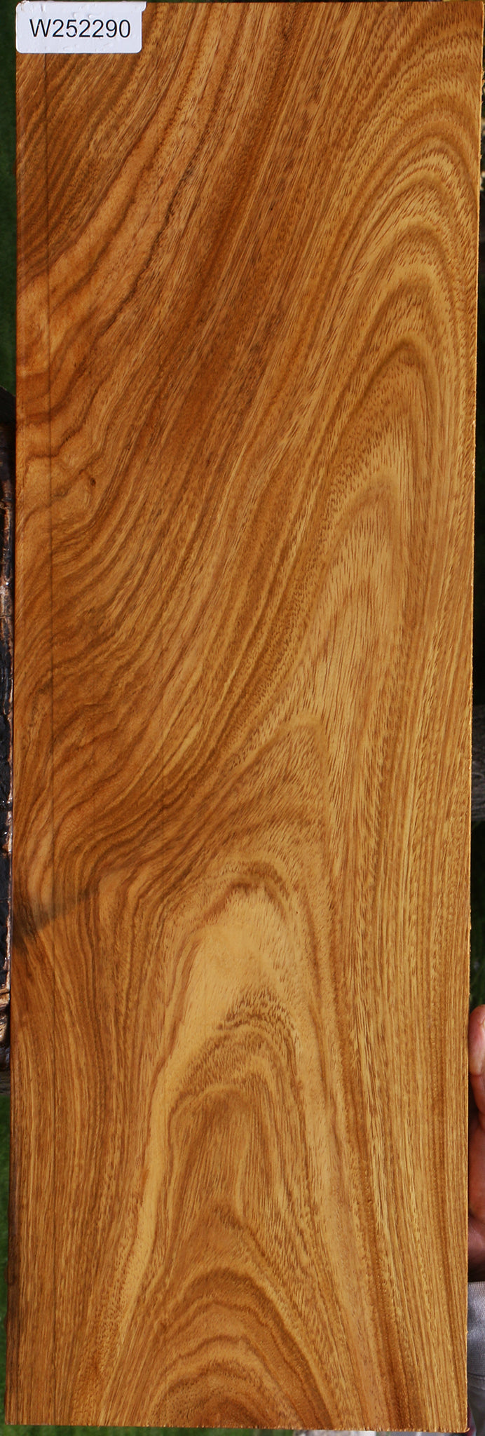 Figured Cerejeira Lumber