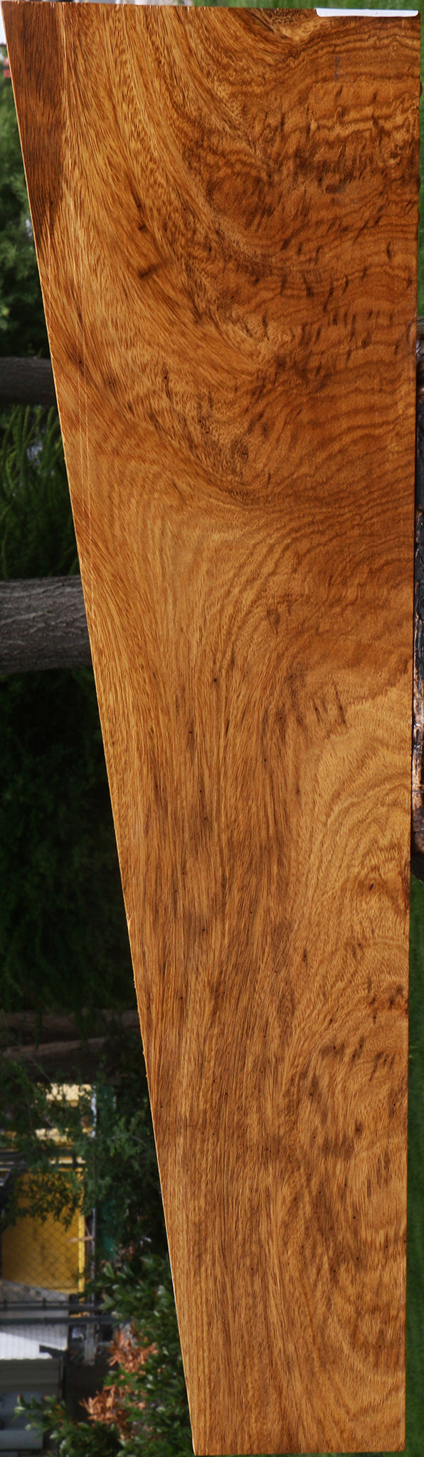 Extra Fancy Cerejeira Micro Lumber