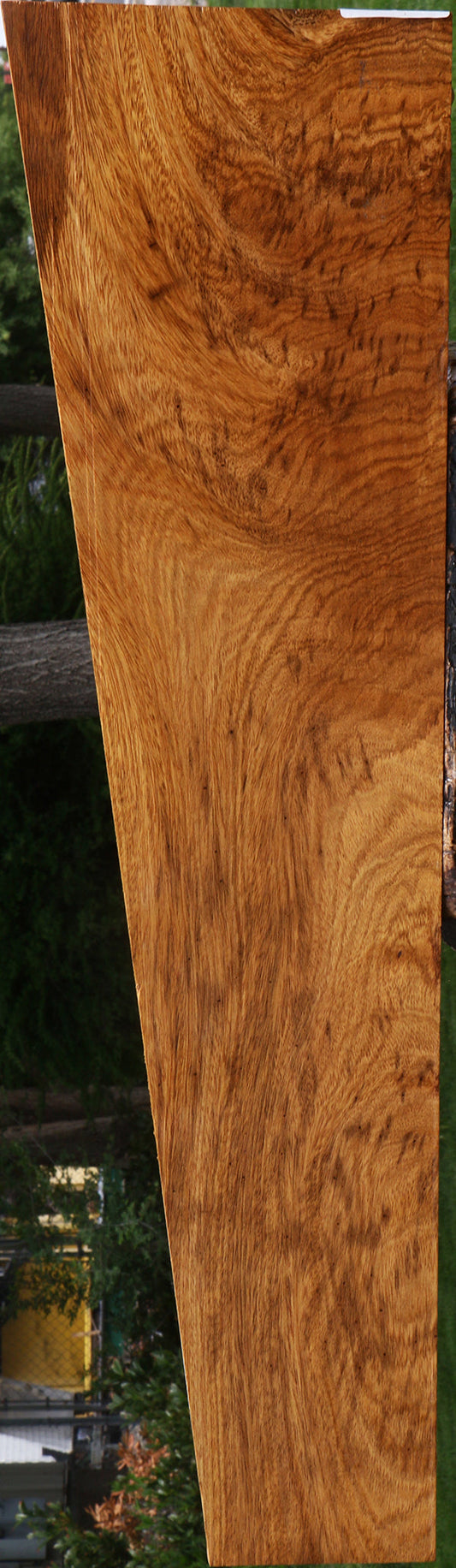 Extra Fancy Cerejeira Micro Lumber