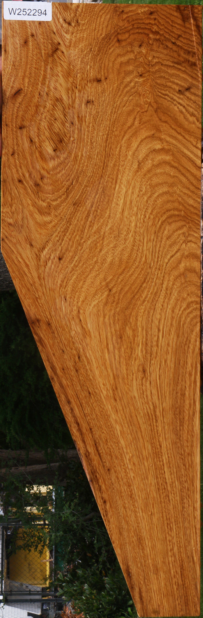 Figured Cerejeira Micro Lumber