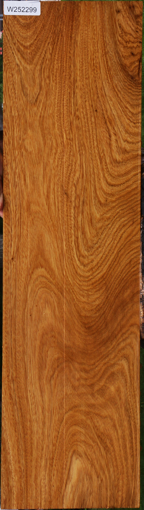 Figured Cerejeira Micro Lumber