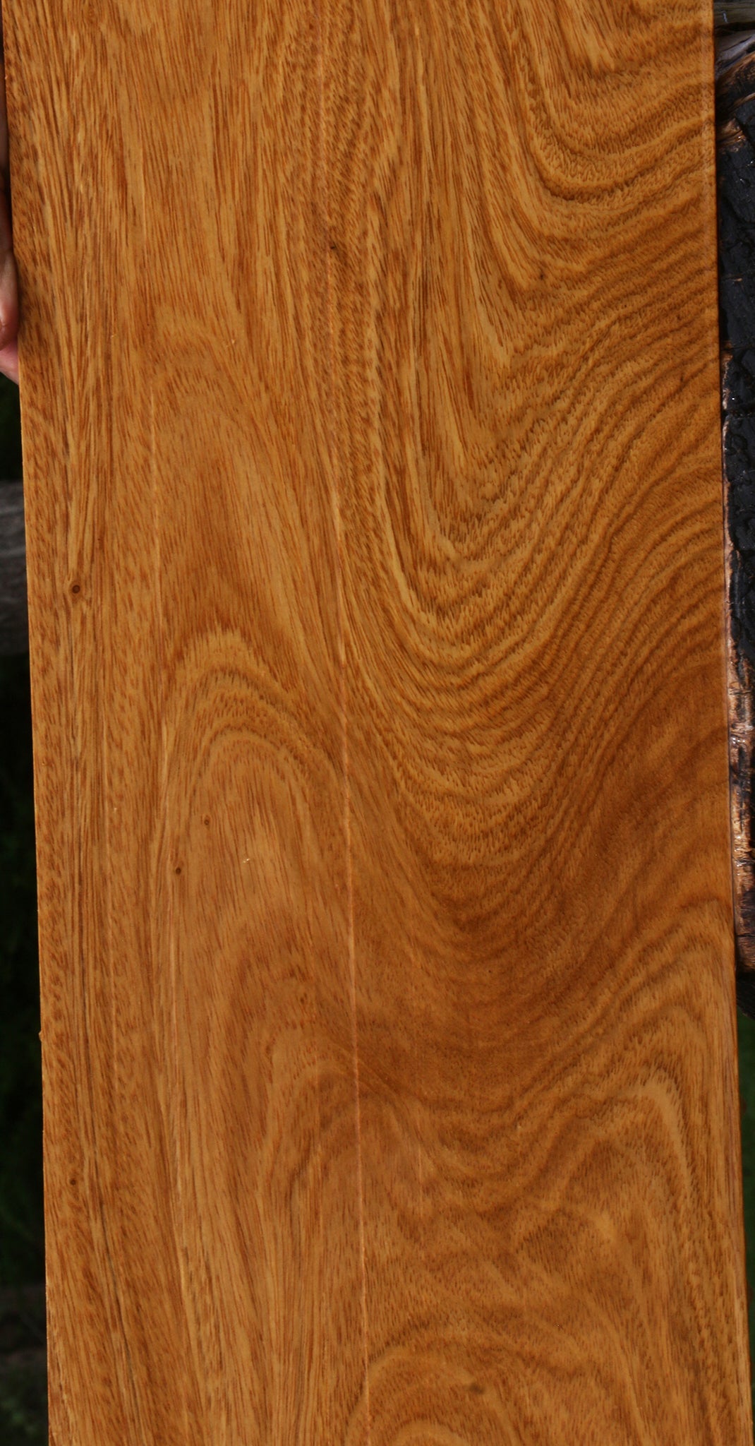 Figured Cerejeira Micro Lumber