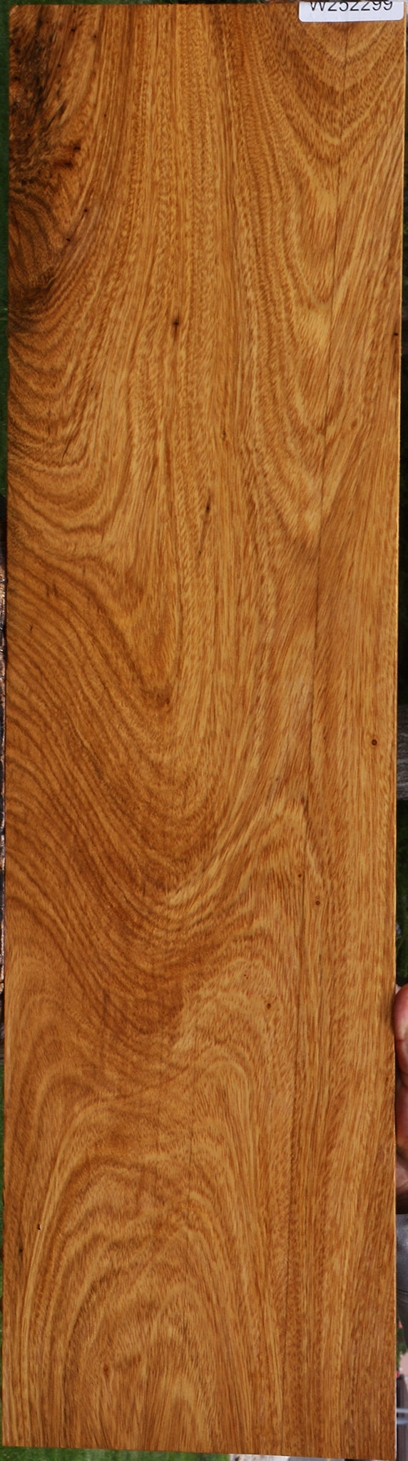 Figured Cerejeira Micro Lumber