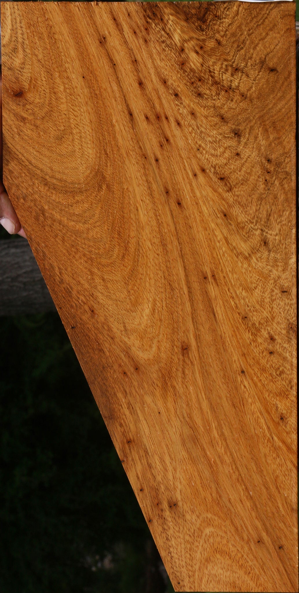 Figured Crotchwood Cerejeira Micro Lumber