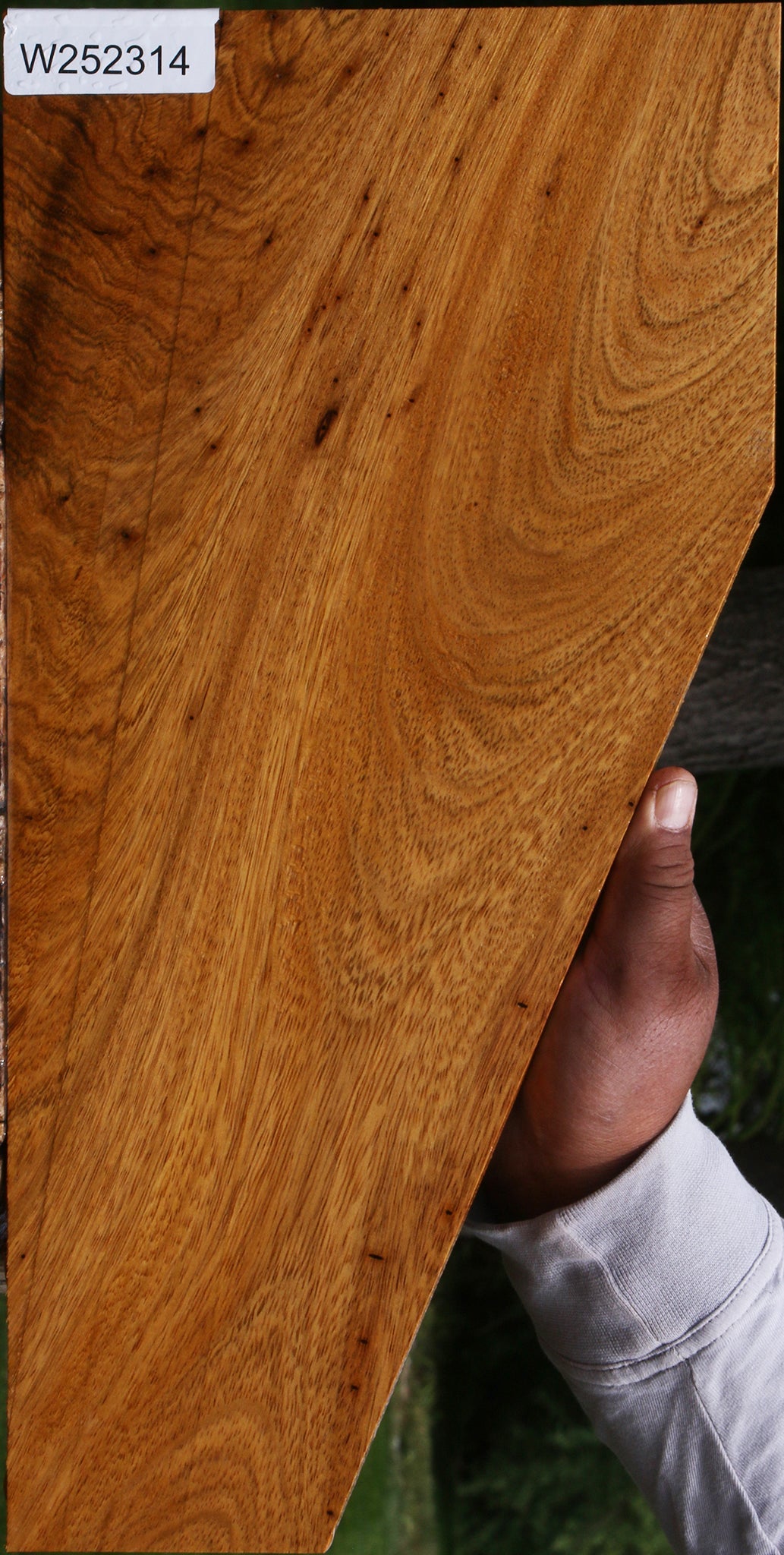 Figured Crotchwood Cerejeira Micro Lumber