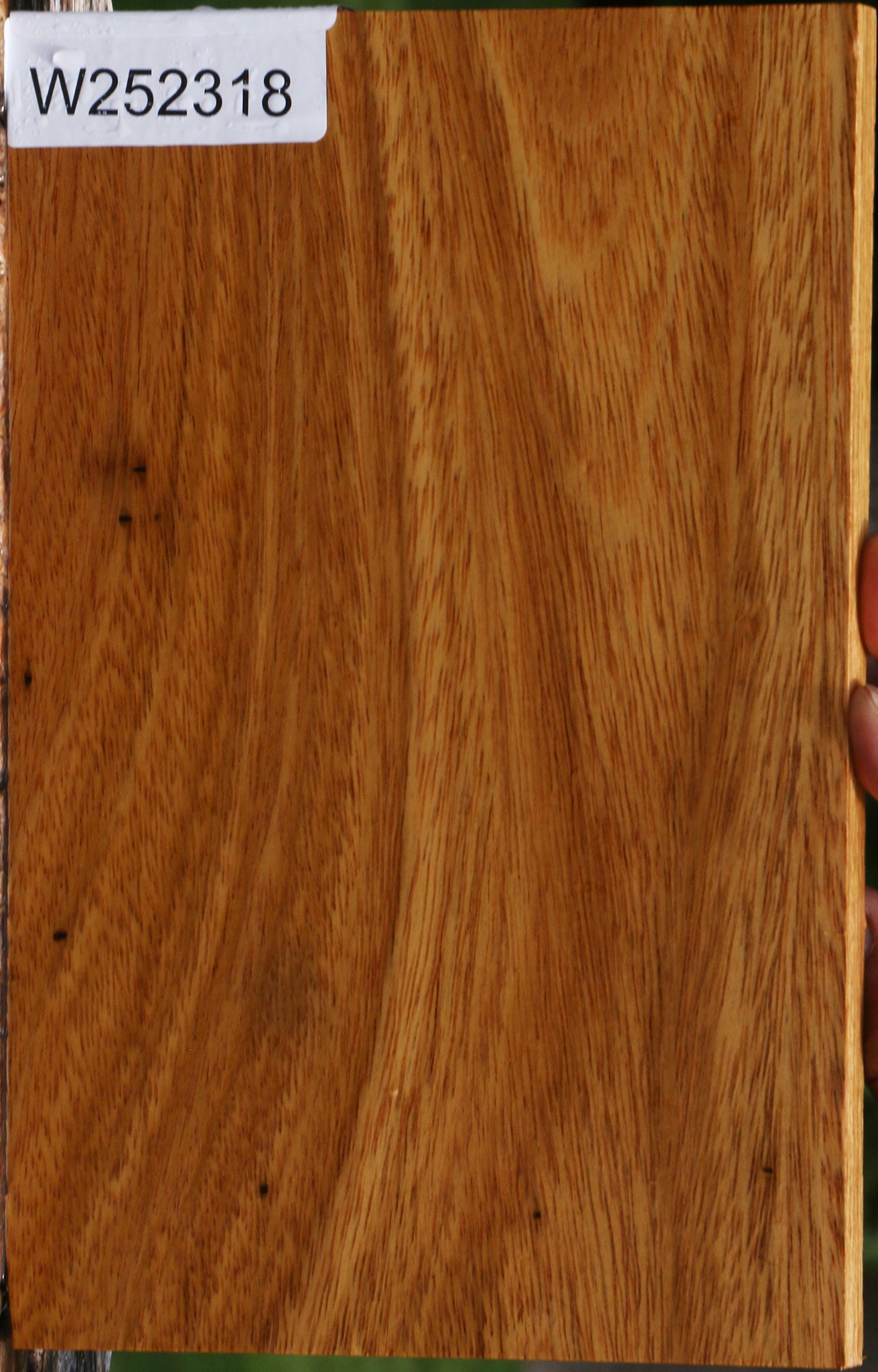 Cerejeira Micro Lumber
