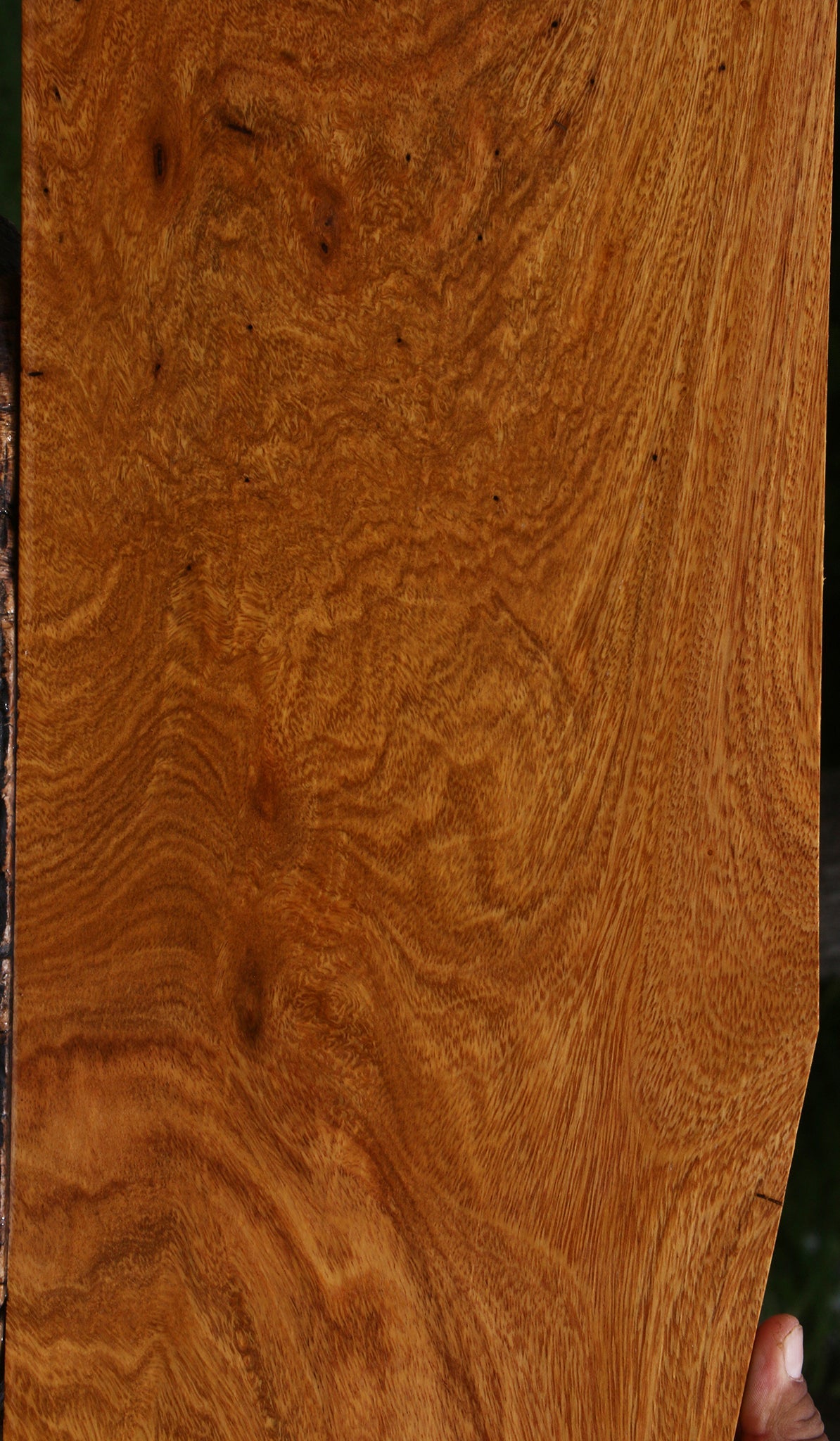 Extra Fancy Crotchwood Cerejeira Micro Lumber
