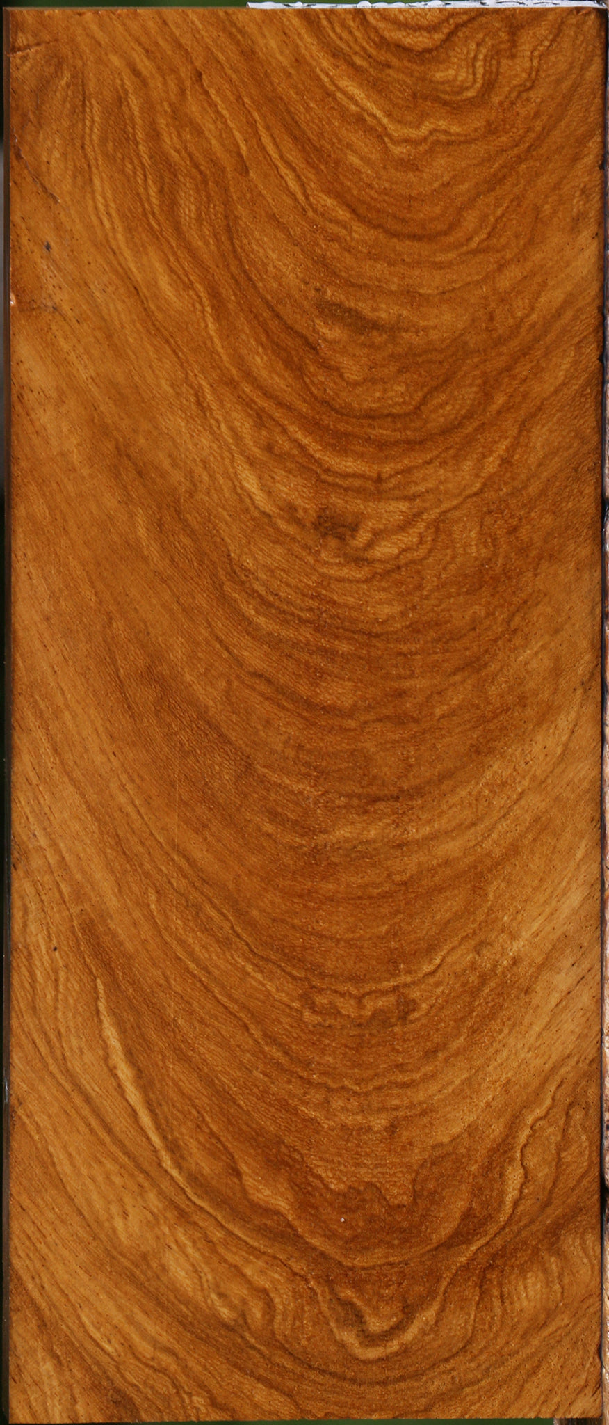 Exhibition Cerejeira Lumber
