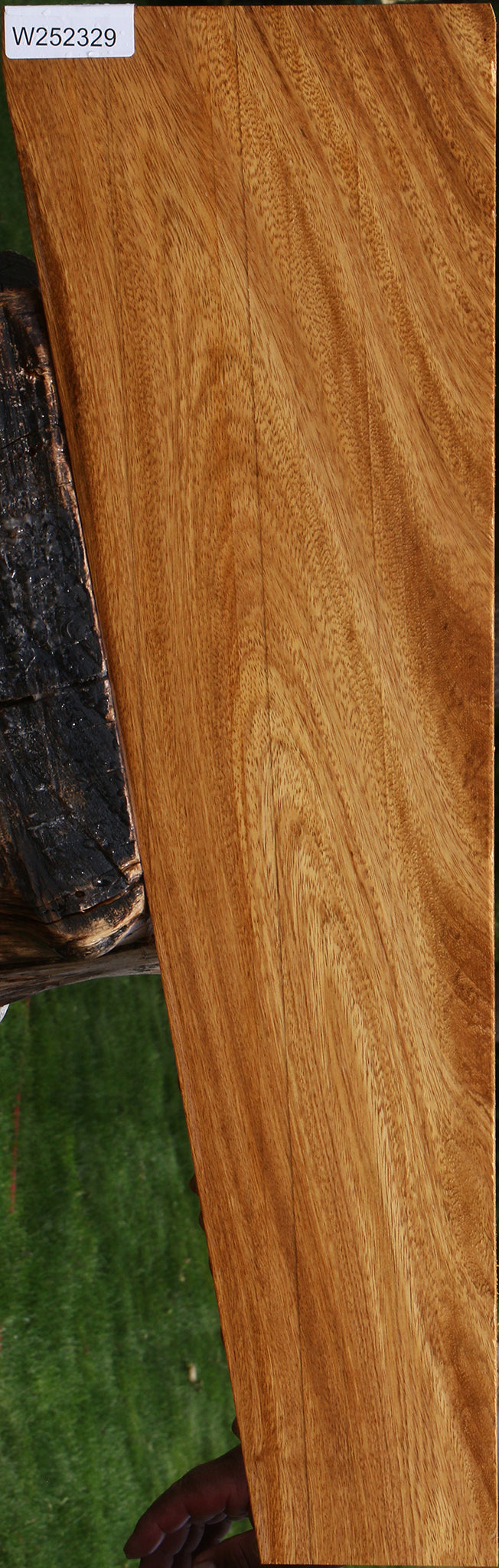 Cerejeira Micro Lumber