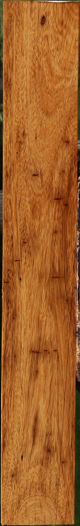 Cerejeira Micro Lumber