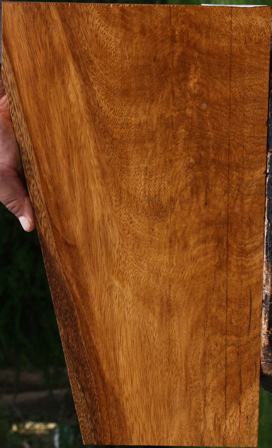 Exhibition Crotchwood Cerejeira Lumber