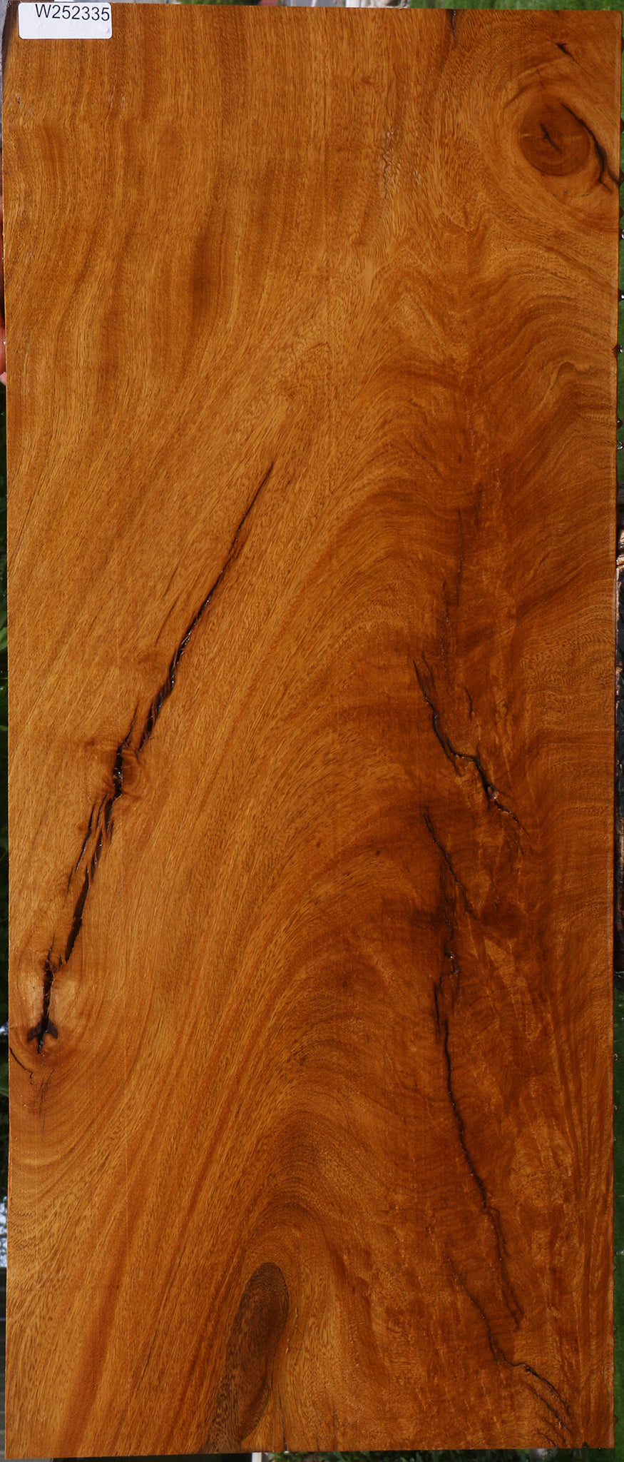 Extra Fancy Rustic Crotchwood Cerejeira Lumber