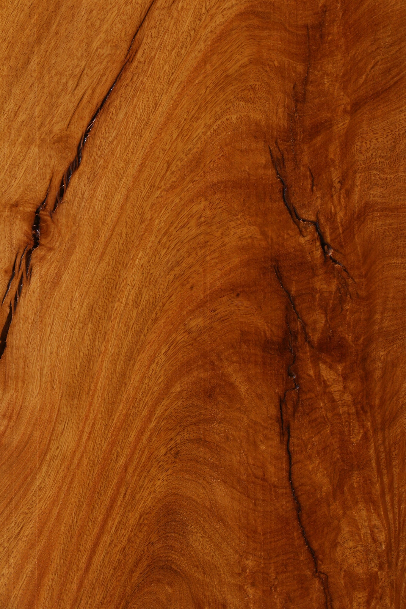 Extra Fancy Rustic Crotchwood Cerejeira Lumber