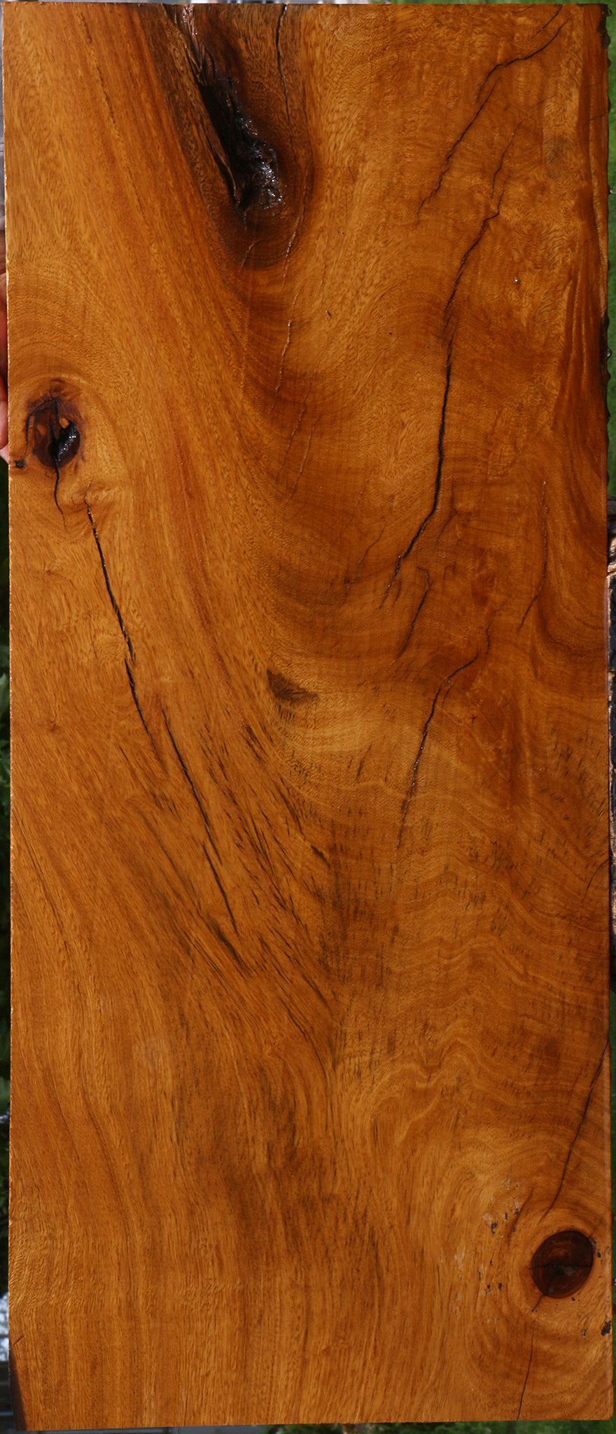 Extra Fancy Rustic Crotchwood Cerejeira Lumber
