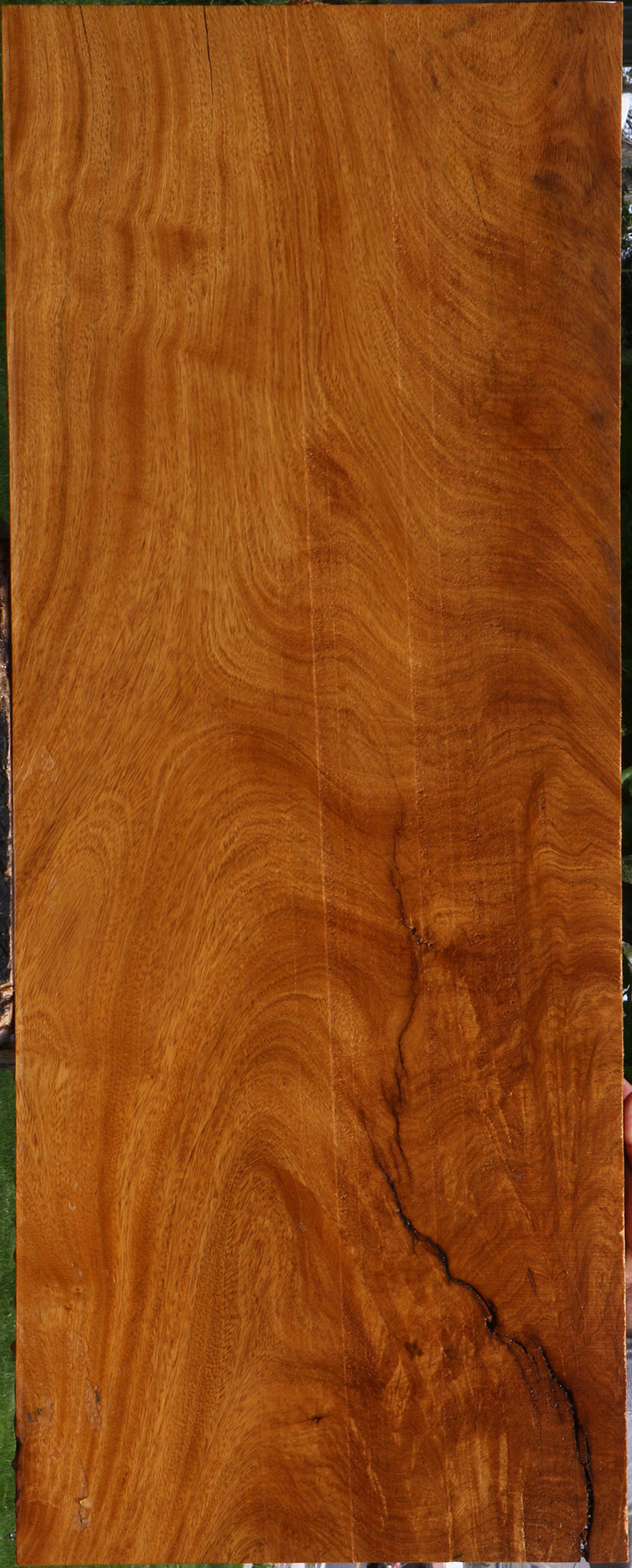 Extra Fancy Rustic Crotchwood Cerejeira Lumber