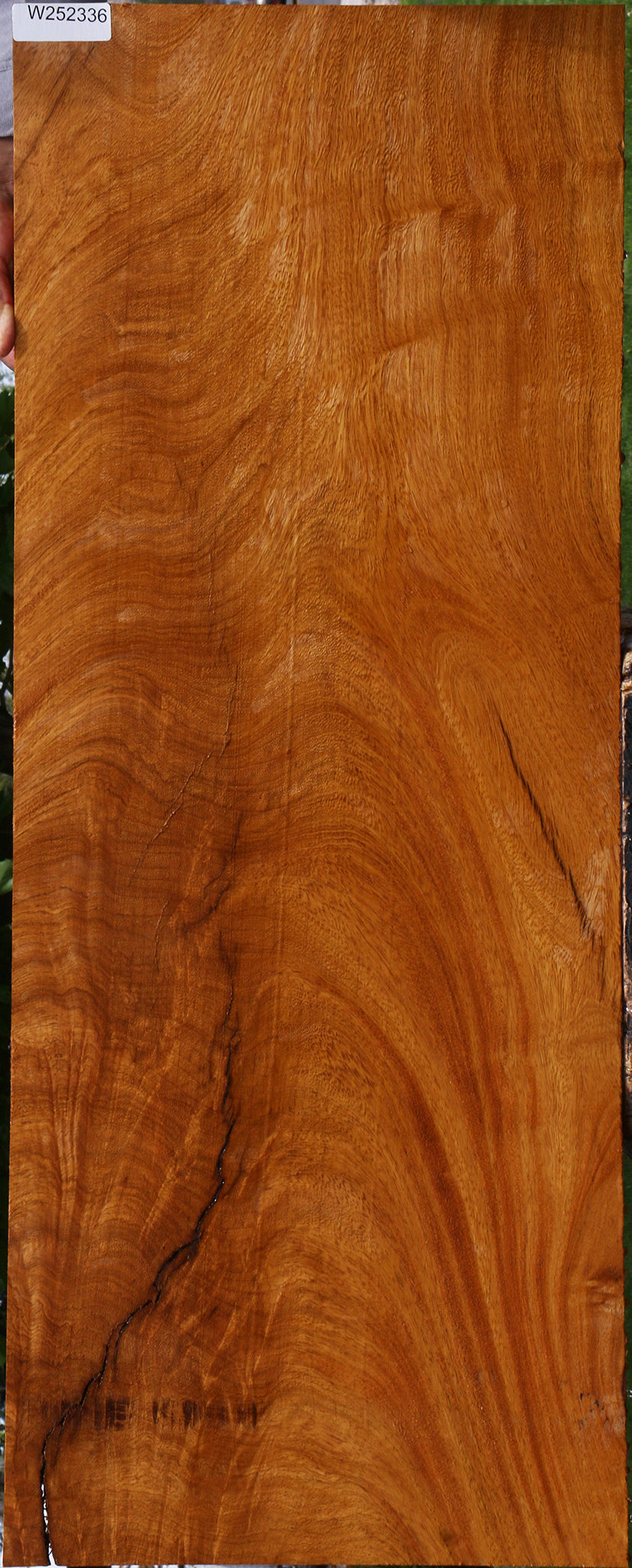 Extra Fancy Rustic Crotchwood Cerejeira Lumber