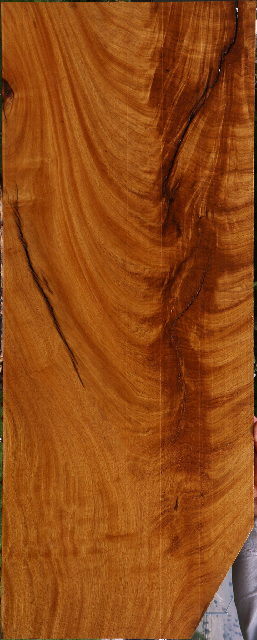 Extra Fancy Rustic Crotchwood Cerejeira Lumber
