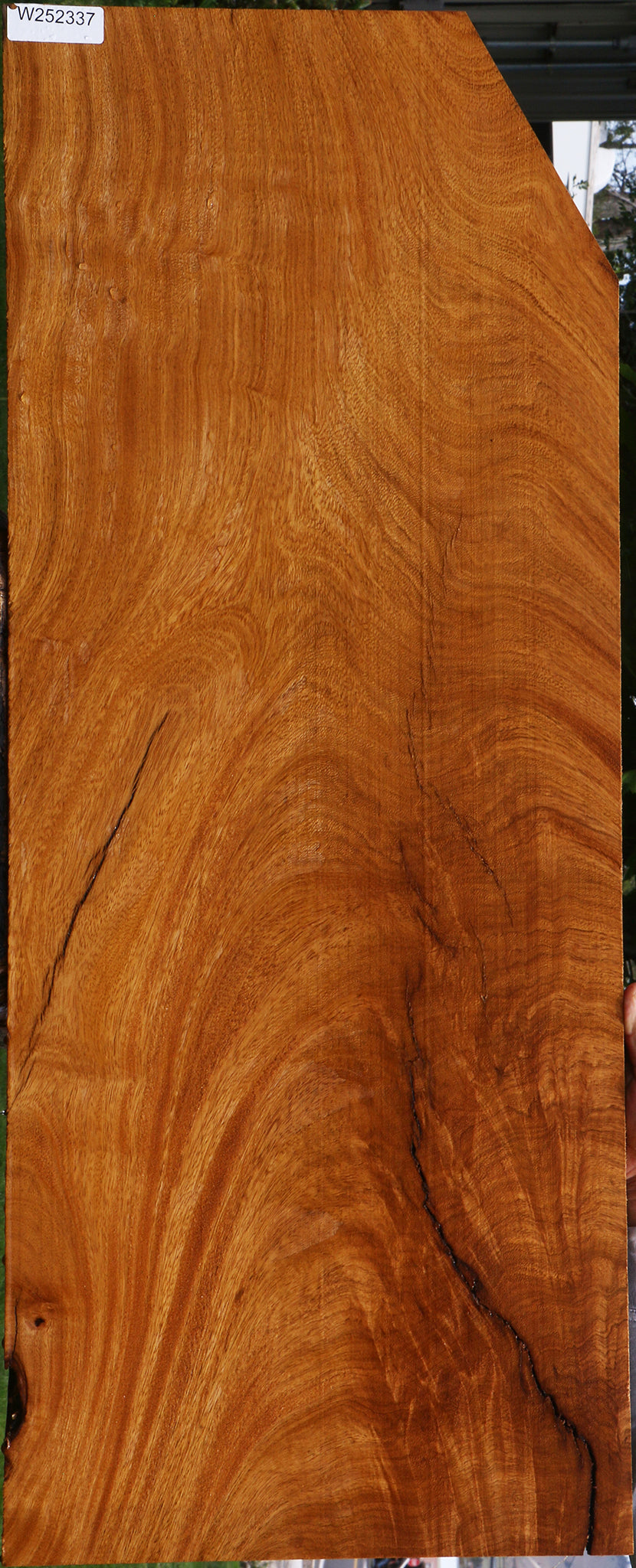 Extra Fancy Rustic Crotchwood Cerejeira Lumber