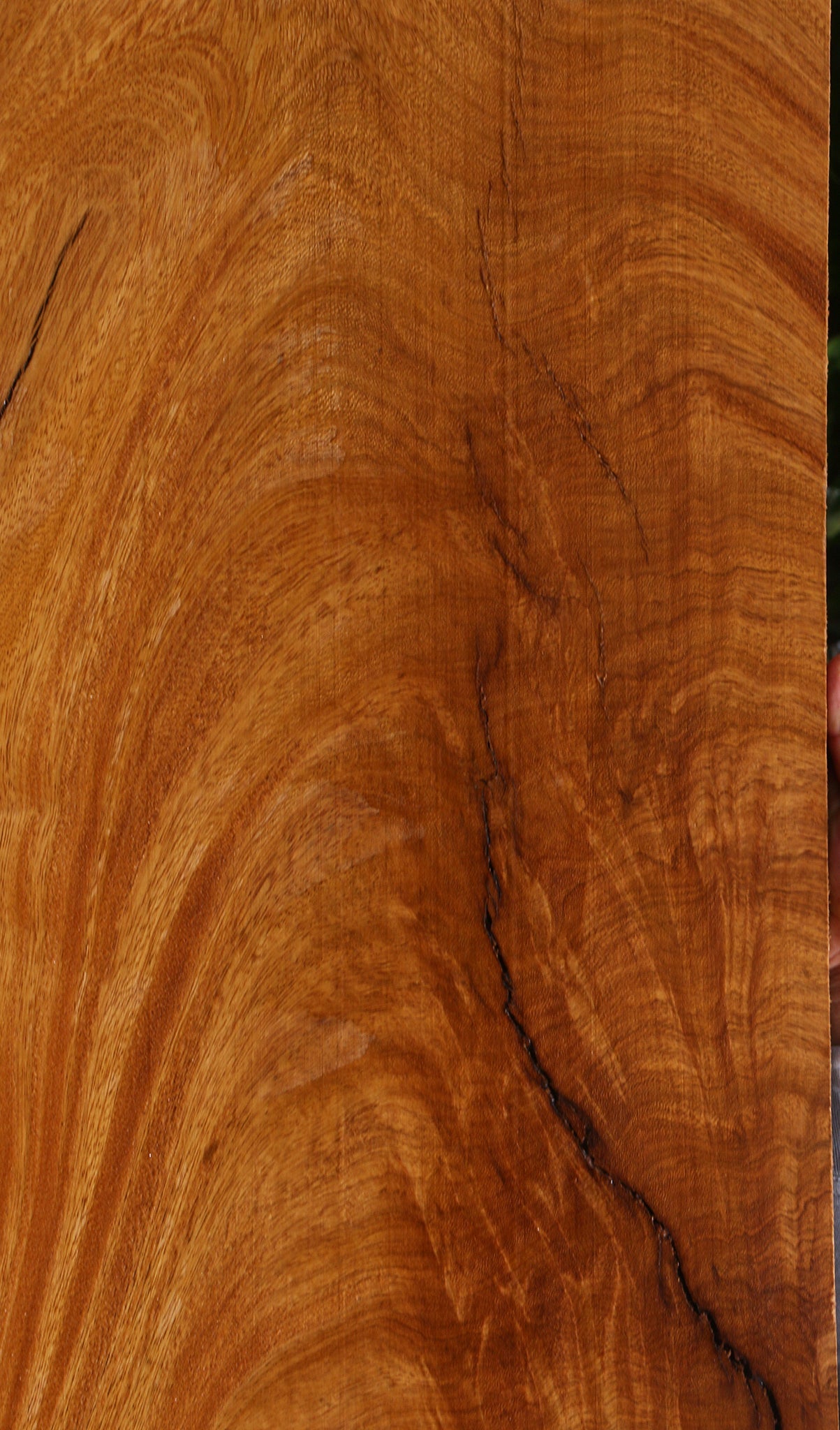 Extra Fancy Rustic Crotchwood Cerejeira Lumber