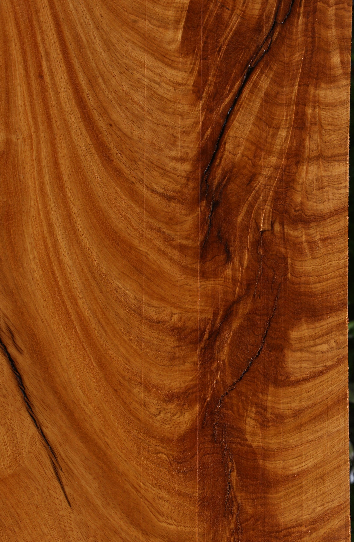 Extra Fancy Rustic Crotchwood Cerejeira Lumber