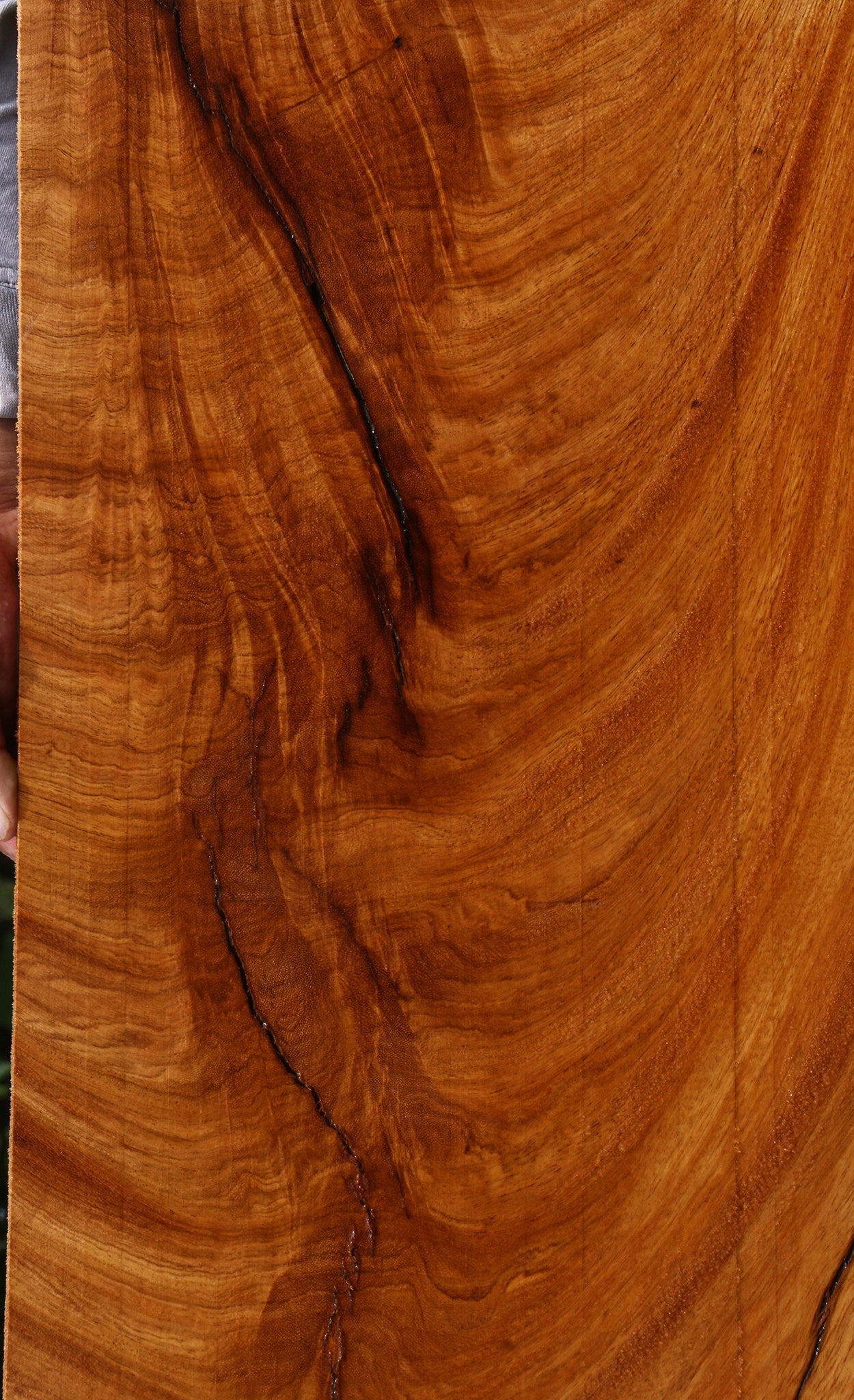 Extra Fancy Rustic Crotchwood Cerejeira Lumber