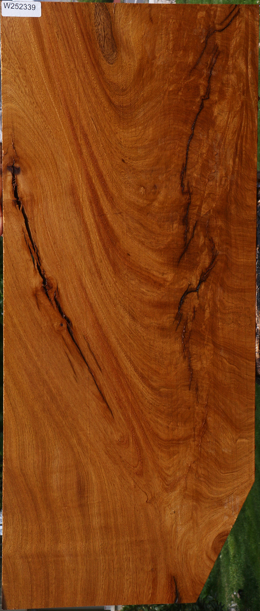Extra Fancy Rustic Crotchwood Cerejeira Lumber
