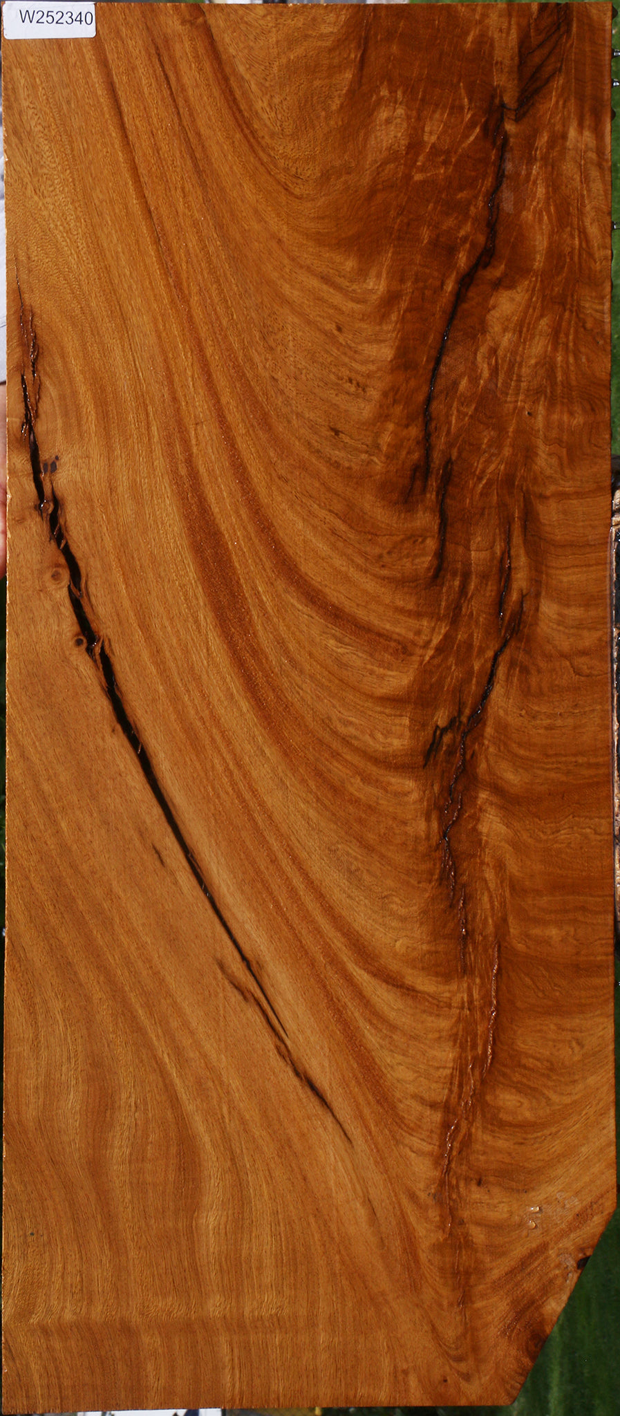 Extra Fancy Rustic Crotchwood Cerejeira Lumber