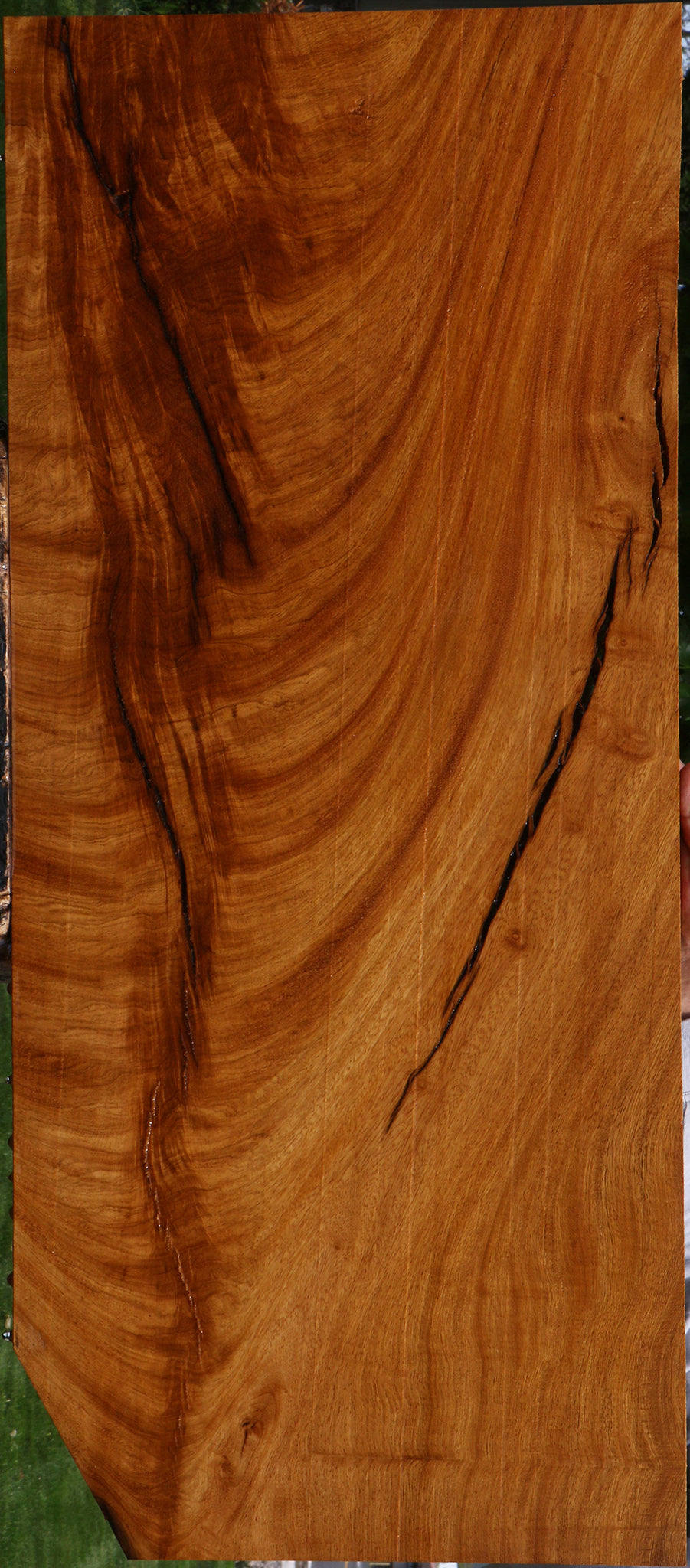 Extra Fancy Rustic Crotchwood Cerejeira Lumber