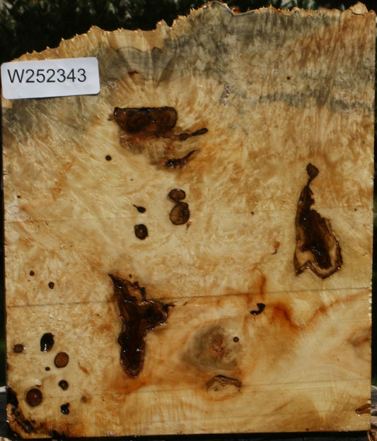 Rustic Box Elder Burl Live Edge Turning Blank
