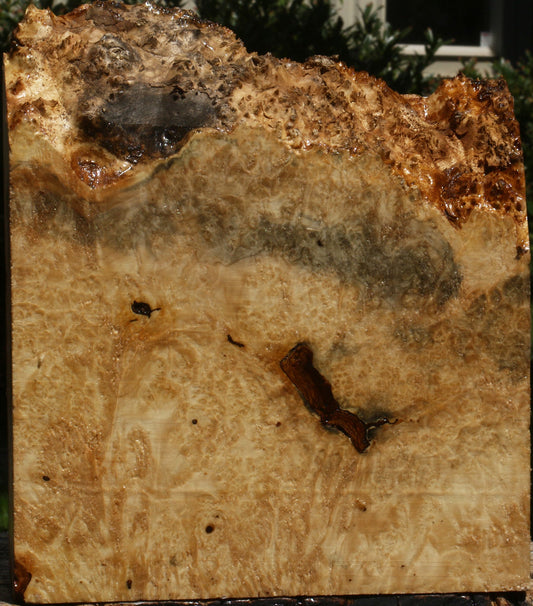 Rustic Box Elder Burl Live Edge Turning Blank