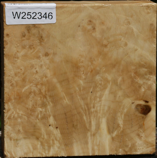 Box Elder Burl Bowl Blank