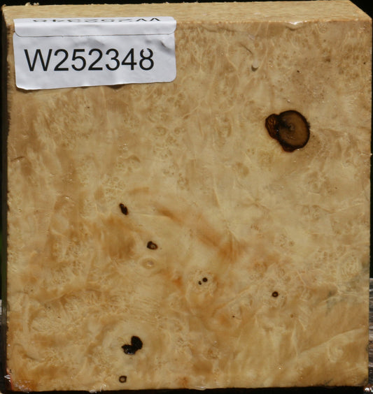 Box Elder Burl Bowl Blank