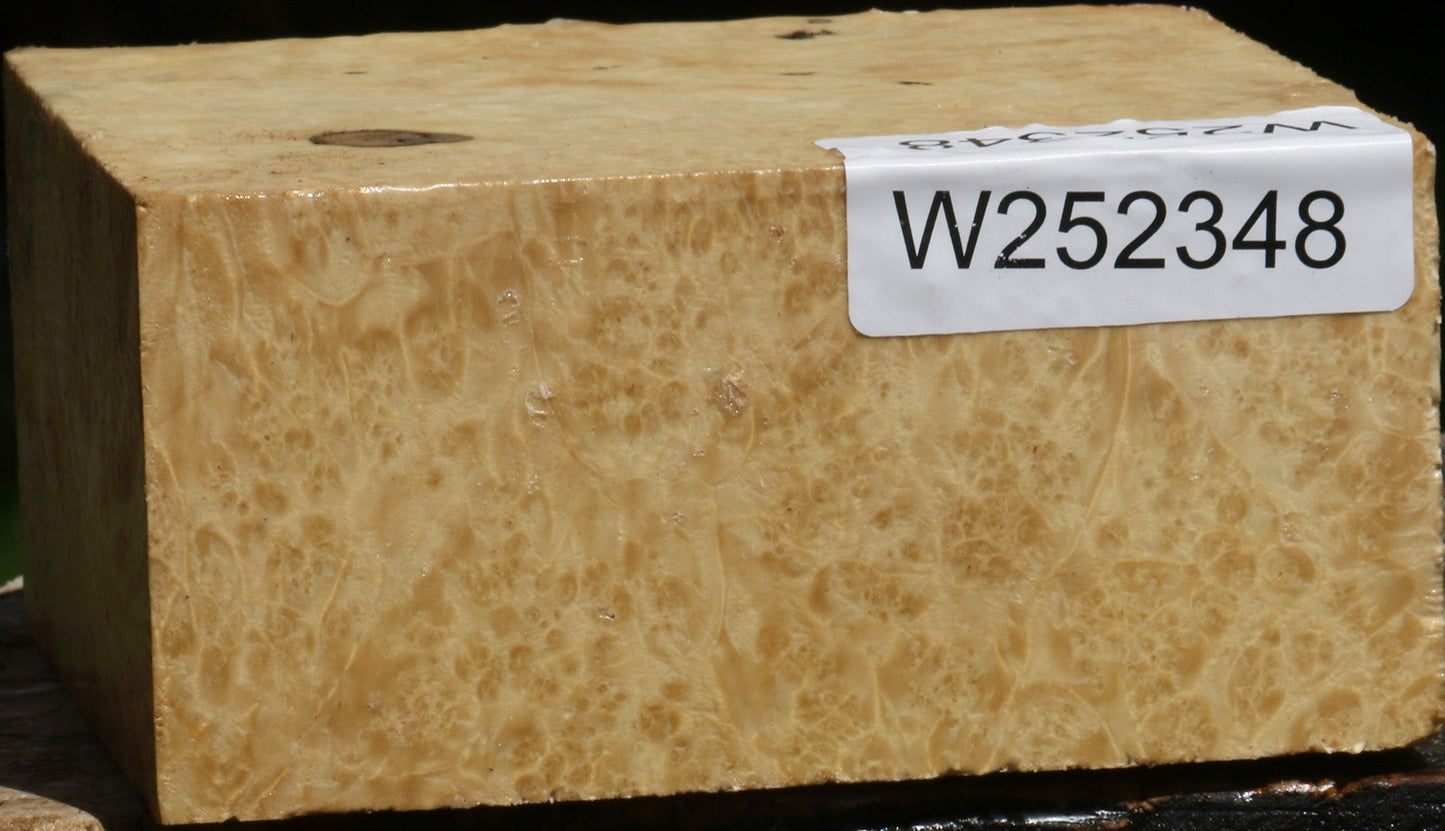 Box Elder Burl Bowl Blank
