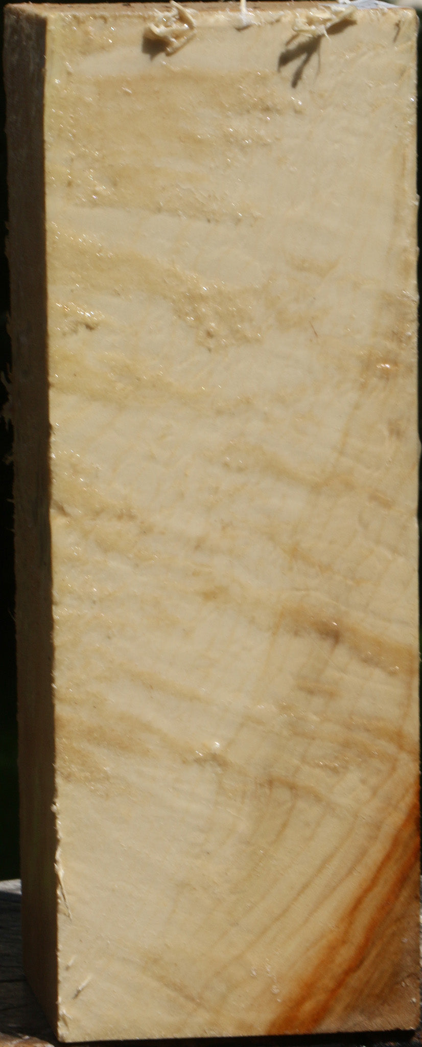 Extra Fancy Box Elder Vessel Blank