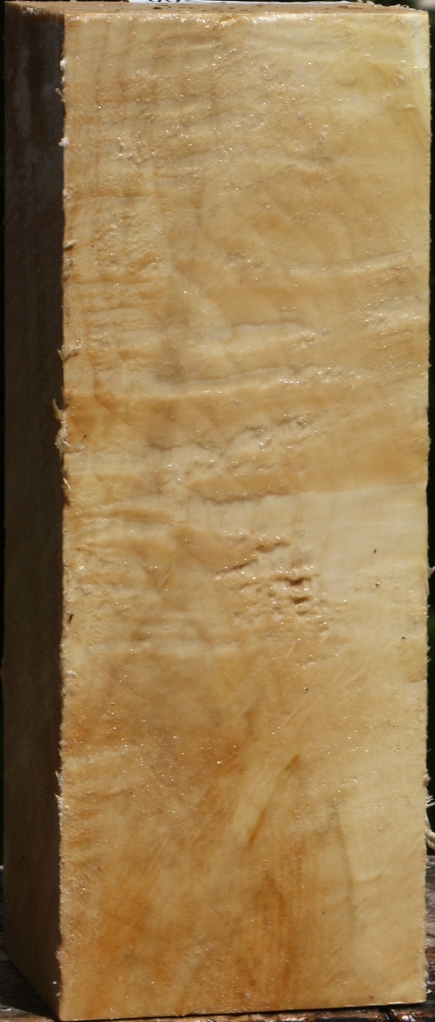 Extra Fancy Box Elder Vessel Blank