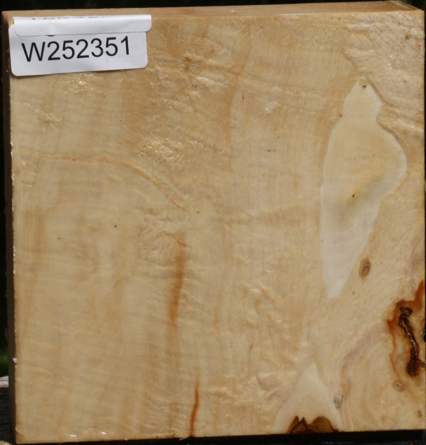 Figured Box Elder Bowl Blank