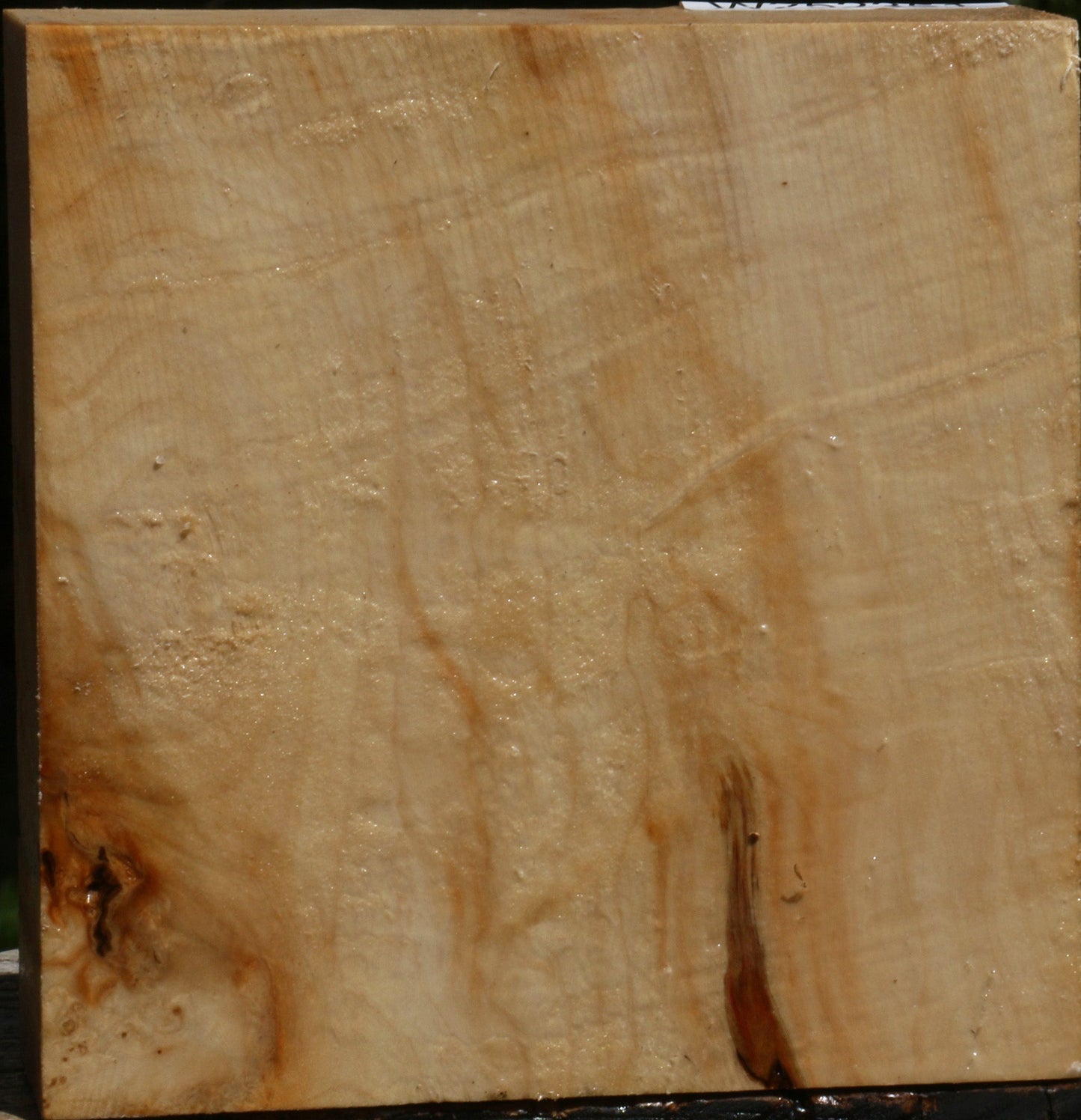 Figured Box Elder Bowl Blank