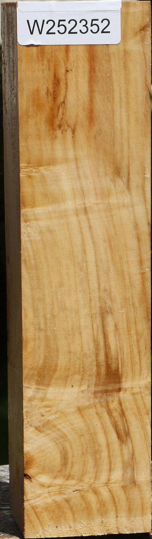Figured Box Elder Peppermill