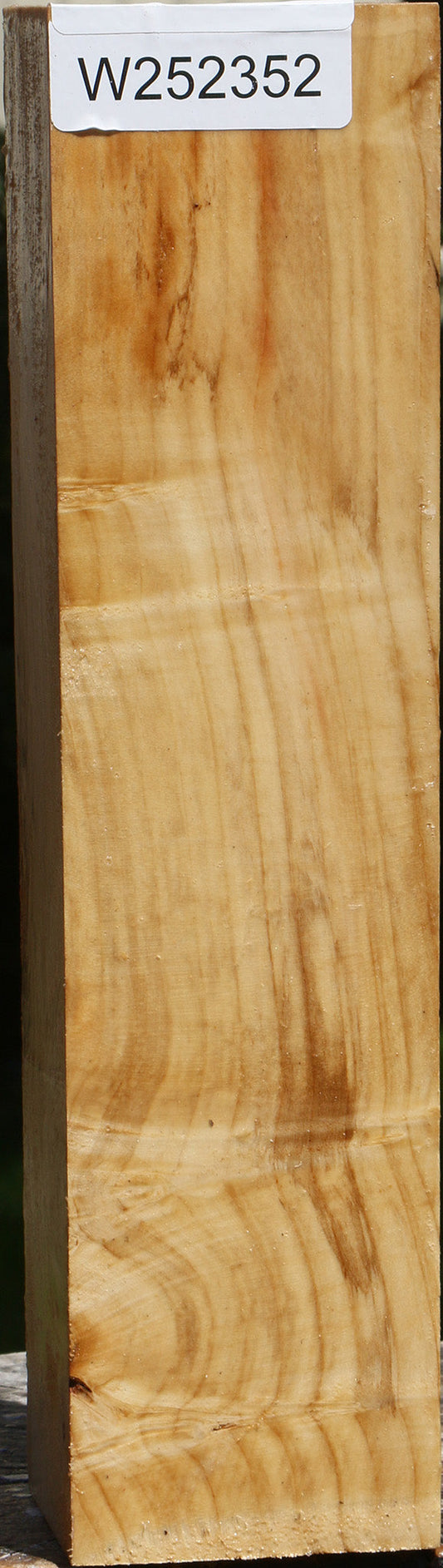 Figured Box Elder Peppermill