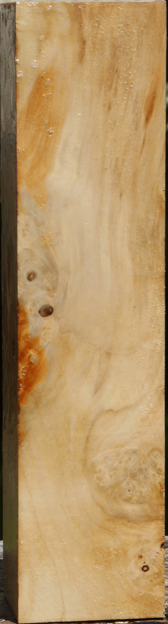 Figured Box Elder Peppermill